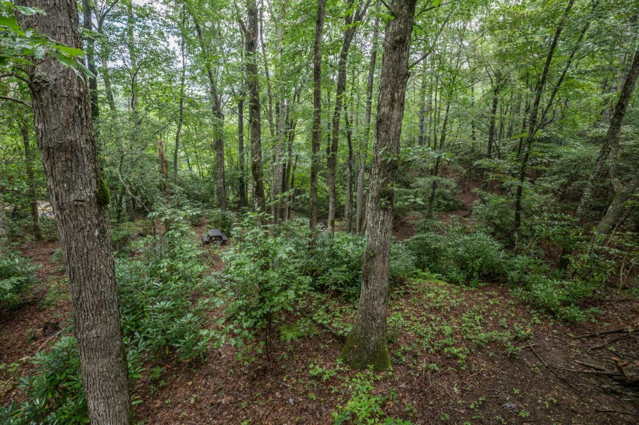 Springmaid Mountain Villa Spruce Pine Buitenkant foto