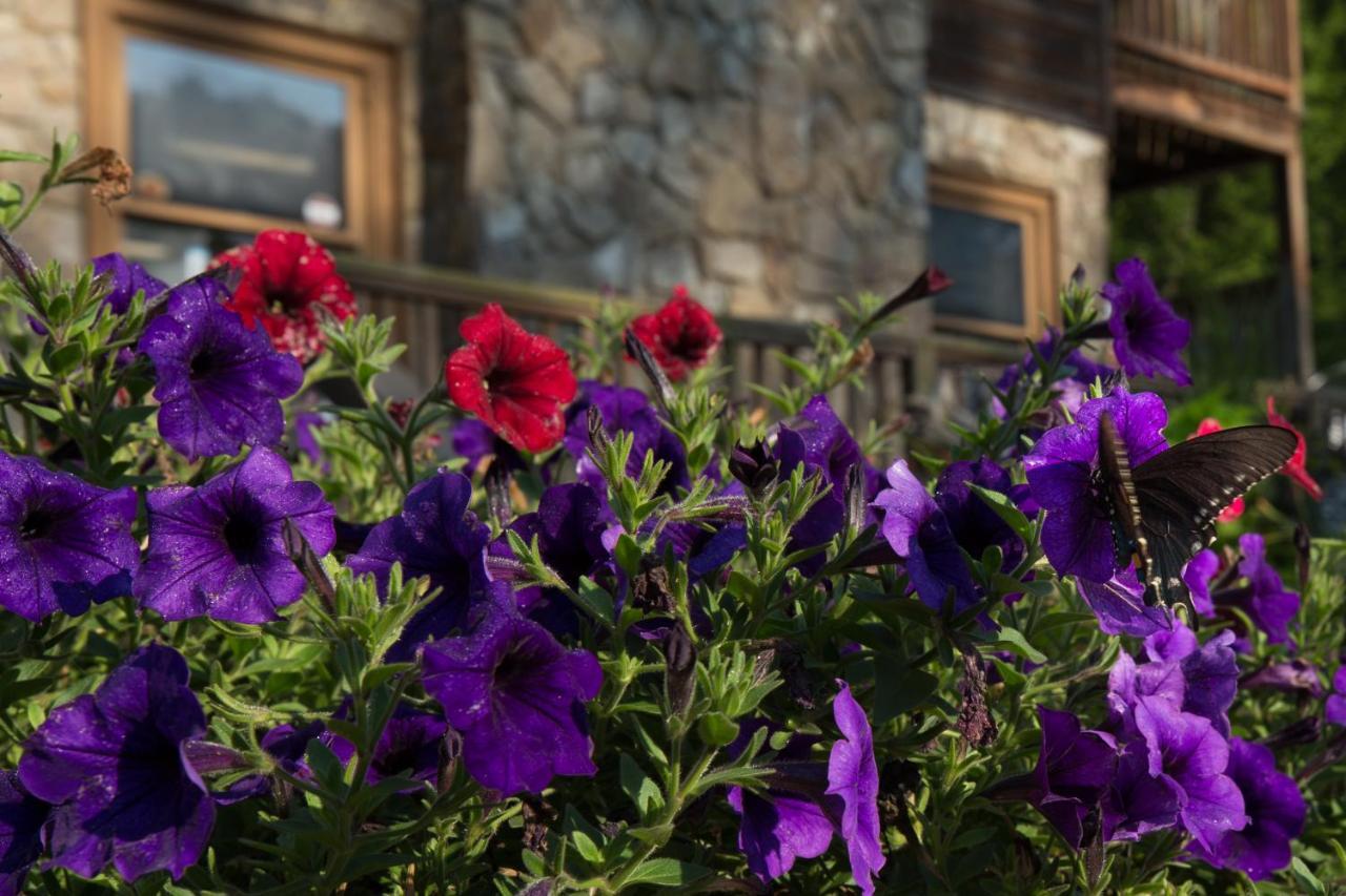 Springmaid Mountain Villa Spruce Pine Buitenkant foto